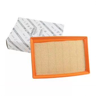 Filtre à air OE 6000633298