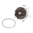 pompe à eau OE 71776001 - Visuel 2