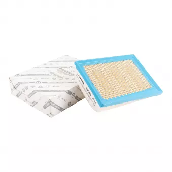Filtre à air OE