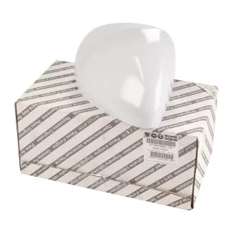 Revêtement, rétroviseur extérieur OE