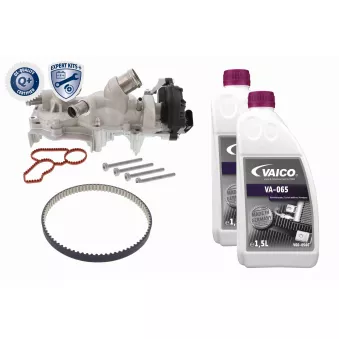 Pompe à eau + kit de courroie crantée VAICO V10-50114-XXL
