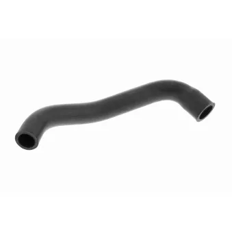 Tuyau, ventilation de carter-moteur VAICO V10-5284