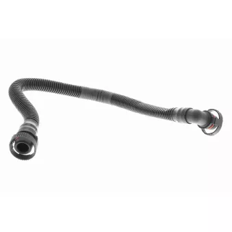 Tuyau, ventilation de carter-moteur VAICO V10-5454
