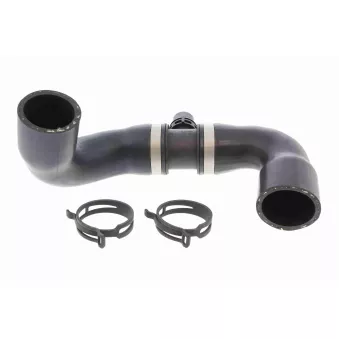 Durite de radiateur VAICO V20-4244