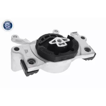 Suspension, boîte automatique VAICO V20-4304