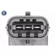Gaine de suralimentation VAICO V21-0052 - Visuel 2