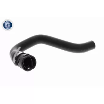 Durite de radiateur VAICO V24-1184