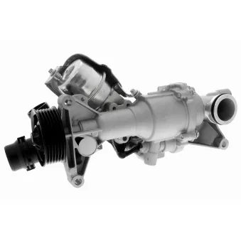 Pompe à eau, refroidissement du moteur VAICO V30-50101