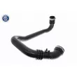 Gaine de suralimentation VAICO V46-1182 - Visuel 1