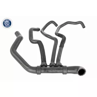 Durite de radiateur VAICO V46-1621