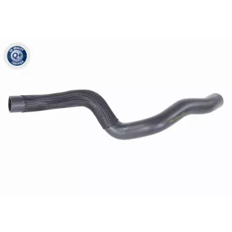 Durite de radiateur VAICO V46-1631