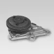Pompe à eau HEPU P929 - Visuel 2