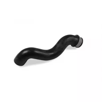 Durite de radiateur HEPU TM7172