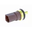 Sonde de température, liquide de refroidissement VEMO V10-99-0002 - Visuel 1