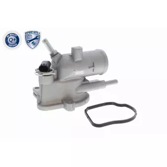 Thermostat d'eau VEMO V30-99-0101