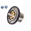 Thermostat d'eau VEMO V40-99-0014 - Visuel 3