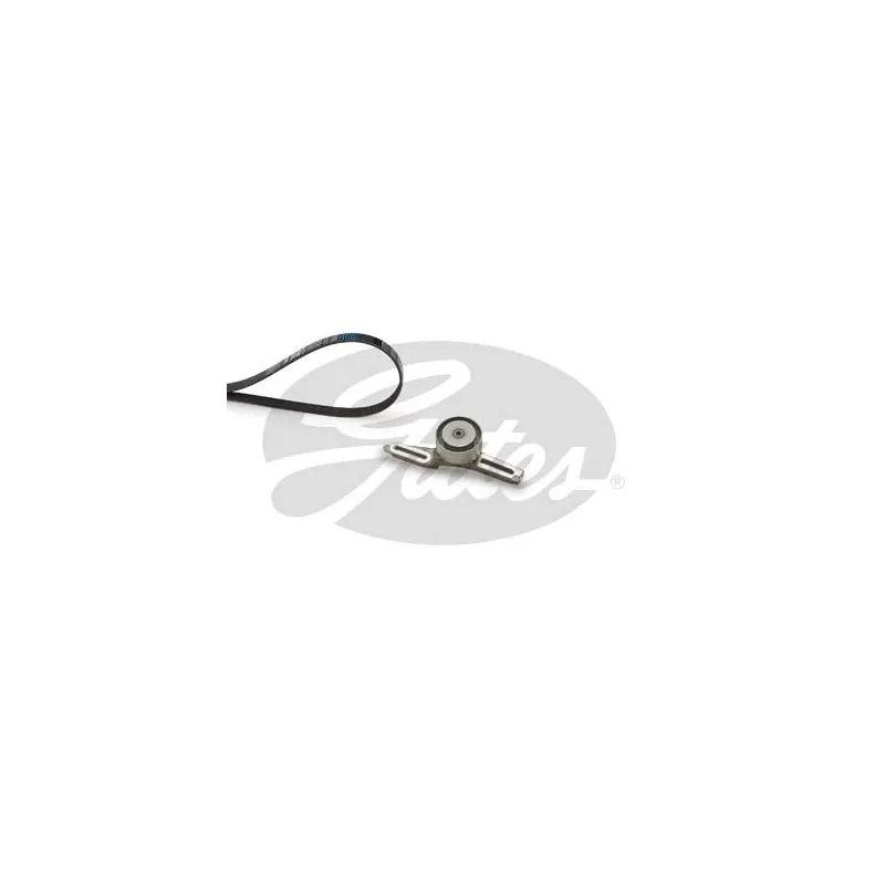 Jeu de courroies trapézoïdales à nervures GATES K015PK1255