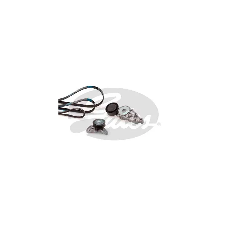 Jeu de courroies trapézoïdales à nervures GATES K015PK1303