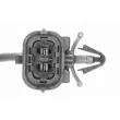Palpeur, température des gaz OE 392202A950 - Visuel 2