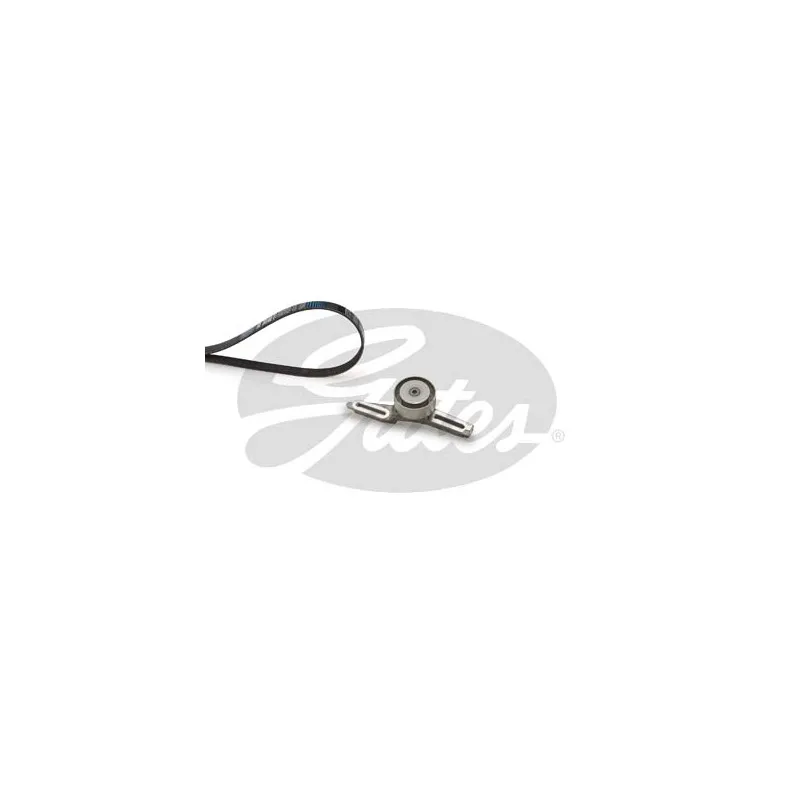 Jeu de courroies trapézoïdales à nervures GATES K015PK880