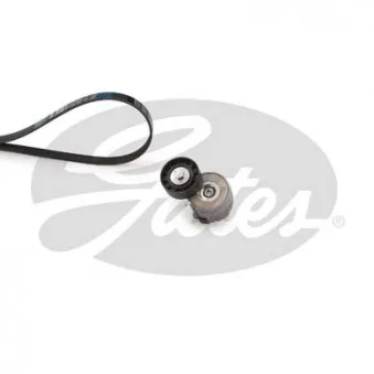 Jeu de courroies trapézoïdales à nervures GATES K016PK1310