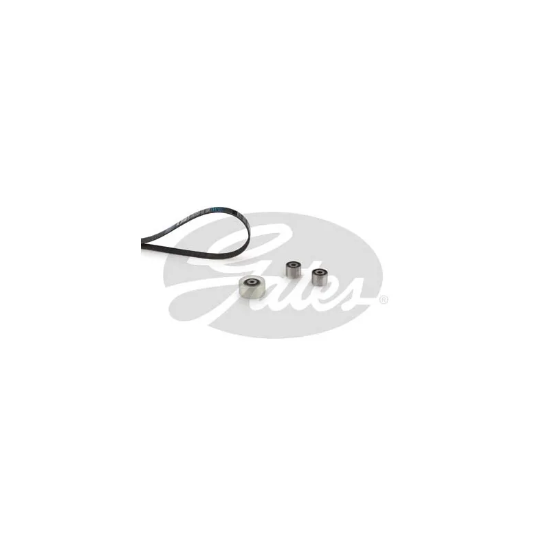 Jeu de courroies trapézoïdales à nervures GATES K016PK1390