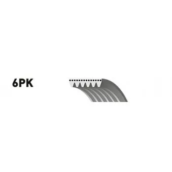 Jeu de courroies trapézoïdales à nervures GATES K016PK831SF