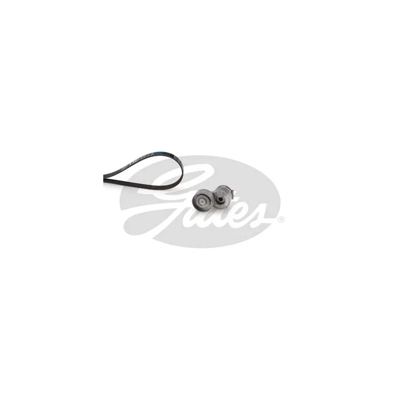 Jeu de courroies trapézoïdales à nervures GATES K017PK1125