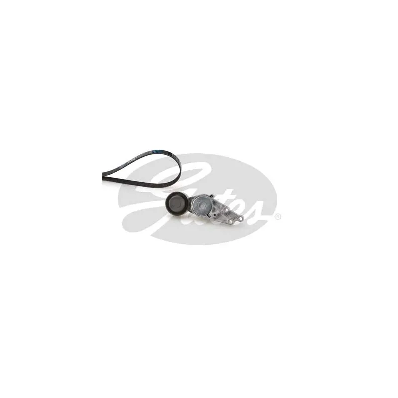 Jeu de courroies trapézoïdales à nervures GATES K025PK1303