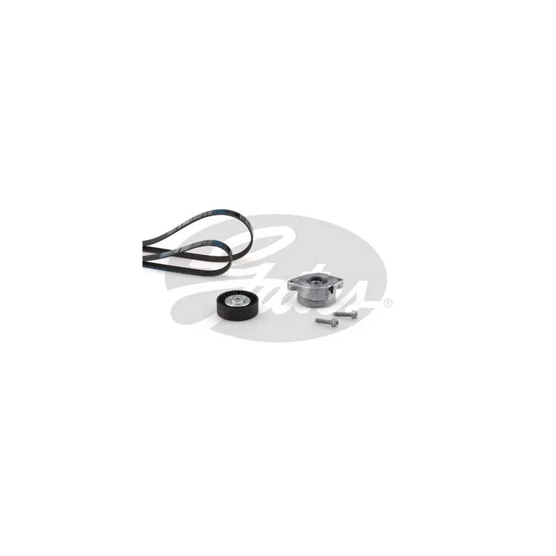 Jeu de courroies trapézoïdales à nervures GATES K026PK893