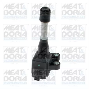 Bobine d'allumage MEAT & DORIA 10908