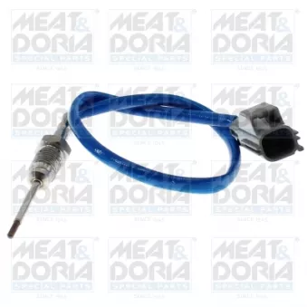 Capteur, température des gaz MEAT & DORIA 12036