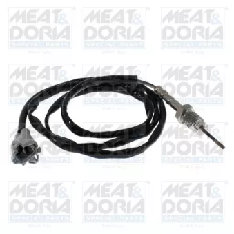 Capteur, température des gaz MEAT & DORIA