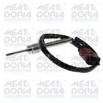 Capteur, température des gaz MEAT & DORIA 12456