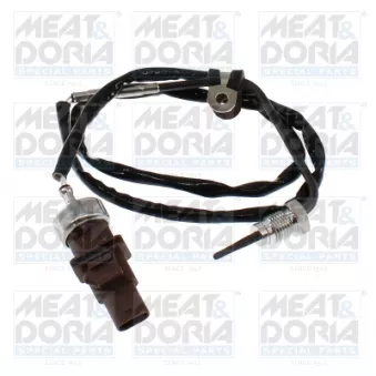 Capteur, température des gaz MEAT & DORIA 12480
