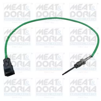 Capteur, température des gaz MEAT & DORIA 12517E