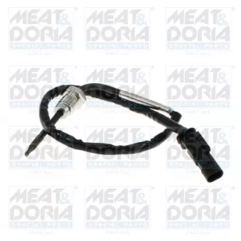 Capteur, température des gaz MEAT & DORIA