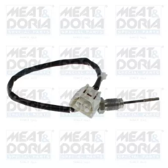 Capteur, température des gaz MEAT & DORIA 12807