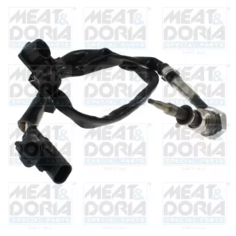 Capteur, température des gaz MEAT & DORIA 12821