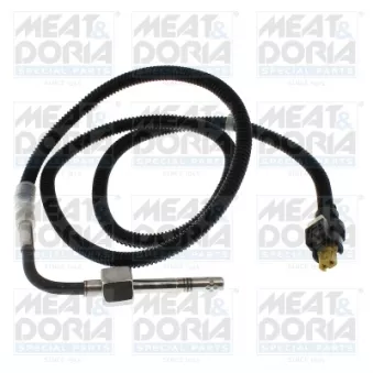 Capteur, température des gaz MEAT & DORIA 12833