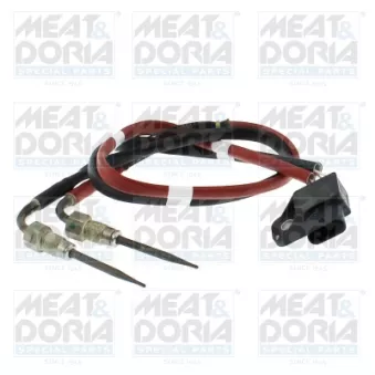 Capteur, température des gaz MEAT & DORIA