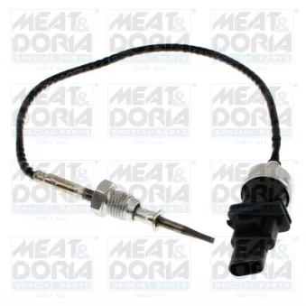 Capteur, température des gaz MEAT & DORIA