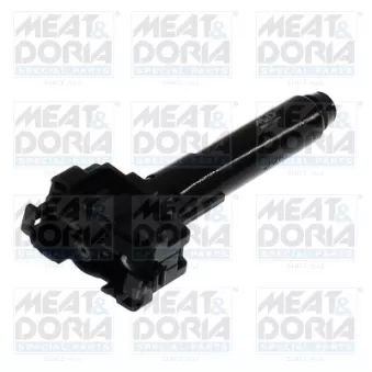 Gicleur d'eau de nettoyage, nettoyage des phares MEAT & DORIA