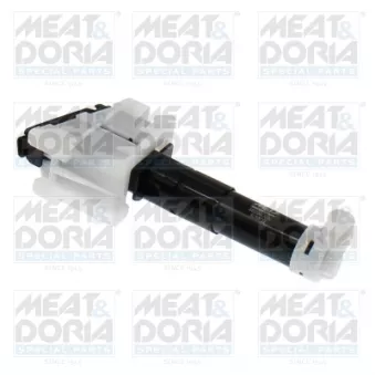 Gicleur d'eau de nettoyage, nettoyage des phares MEAT & DORIA