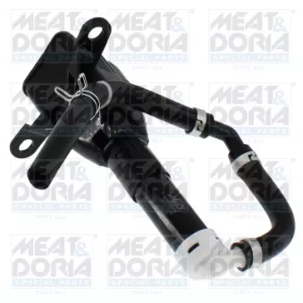 Gicleur d'eau de nettoyage, nettoyage des phares MEAT & DORIA