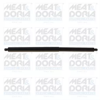 Vérin, étagère (coffre) MEAT & DORIA 301122