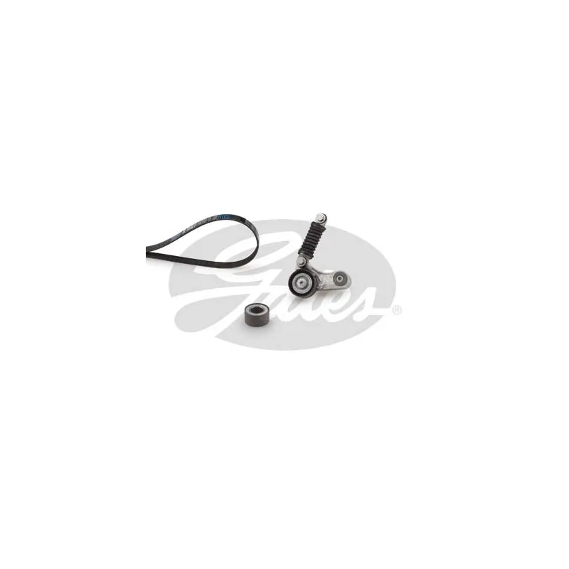 Jeu de courroies trapézoïdales à nervures GATES K036PK1605