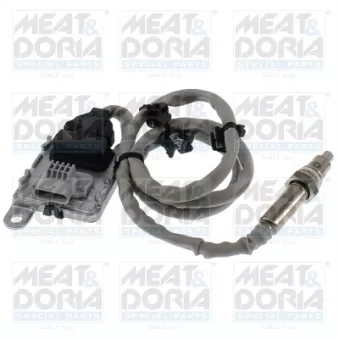 Capteur NOx, Catalyseur NOx MEAT & DORIA 57114