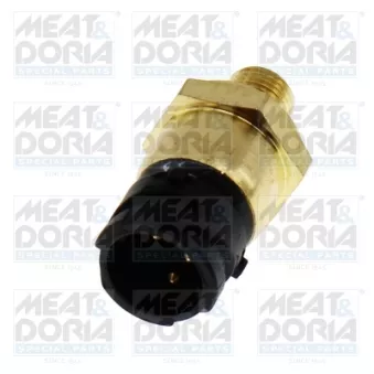 Indicateur de pression d'huile MEAT & DORIA 72167