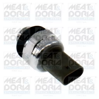 Indicateur de pression d'huile MEAT & DORIA 72187